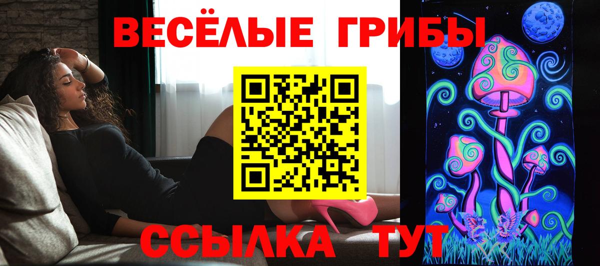 Магадан  Псилоцибиновые грибы мицелий  Вход с VPN 