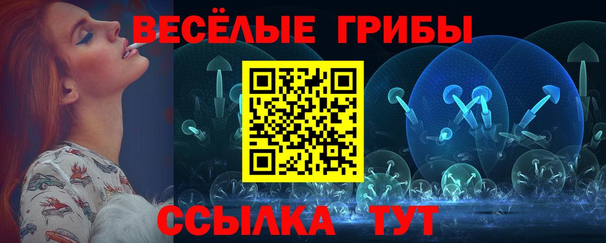 Псилоцибиновые грибы мицелий Магадан